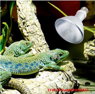 Αλουμινίου UVB HID λαμπτήρα Jungle Desert σειρά 64/95/121mm Διαμέτρου 93/118/138mm μήκος 4000k-10000k χρωματική θερμοκρασία