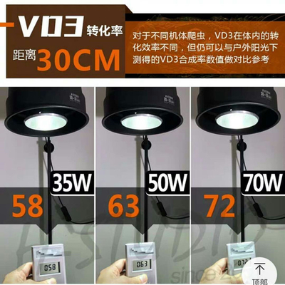Αειφόρος 60w 45w 30w HID Metal Halide Ballast Για UVB Ρεπτίλ UV Lamp